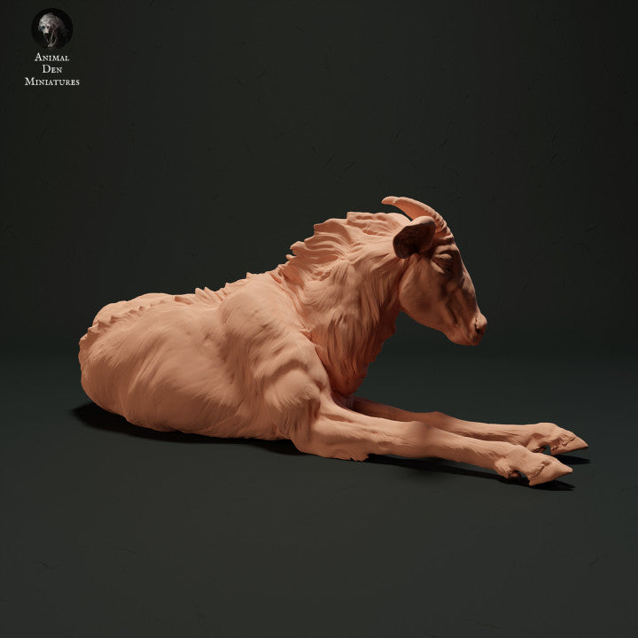 Product photo animal figure Animal Den Miniatures 1: Wild animal figure: Sumatra serow - lying down (23_05_05)