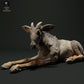 Product photo animal figure Animal Den Miniatures 2: Wild animal figure: Sumatra serow - lying down (23_05_05)