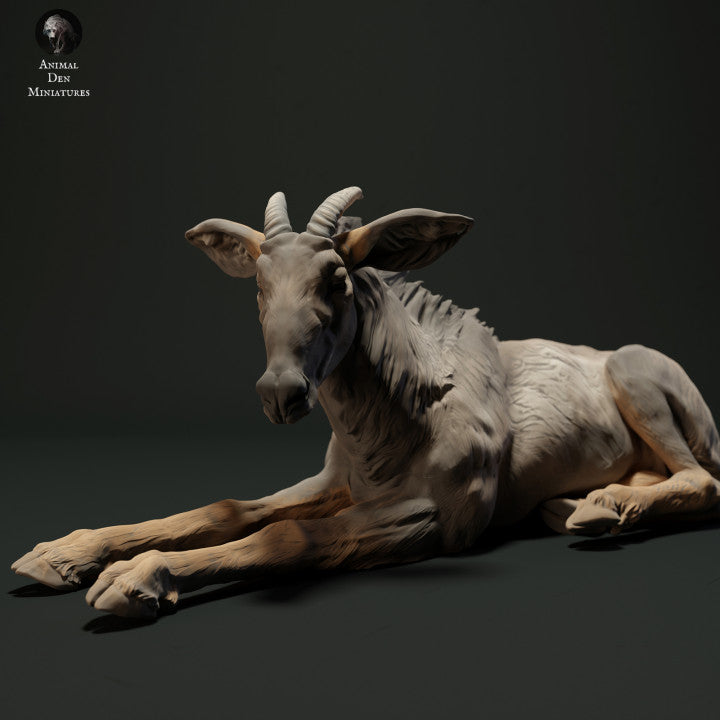 Product photo animal figure Animal Den Miniatures 2: Wild animal figure: Sumatra serow - lying down (23_05_05)