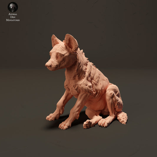 Produktfoto Tier Figur Diorama, Modellbau: 0: Hyäne Jungtier: Tiere aus Afrika