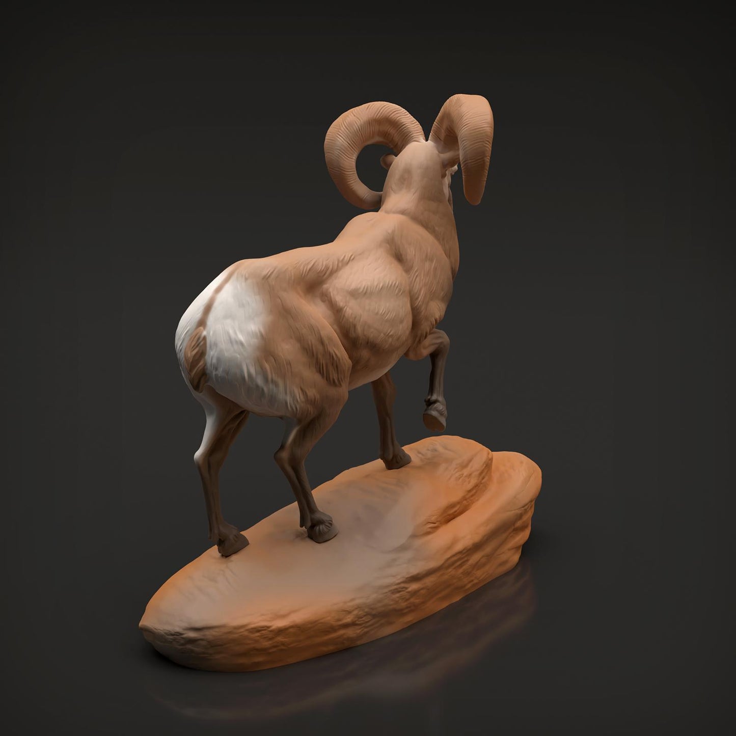 Product photo Animal Figure Diorama, Model Building: 0: Wildlife Figure: Bighorn Sheep Ram (Ref 01_01_89)