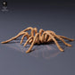 Product photo of animal figure Animal Den Miniatures 7: Arachnid figure: Goliath birdeater tarantula (26_10_01)