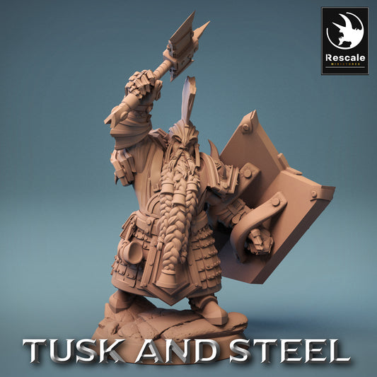 Dwarf Warrior - Brave Soldier - Miner Under the Mountain (F15)