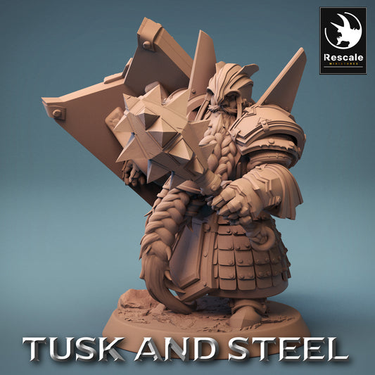 Dwarf Warrior - Brave Soldier - Miner Under the Mountain (F1)