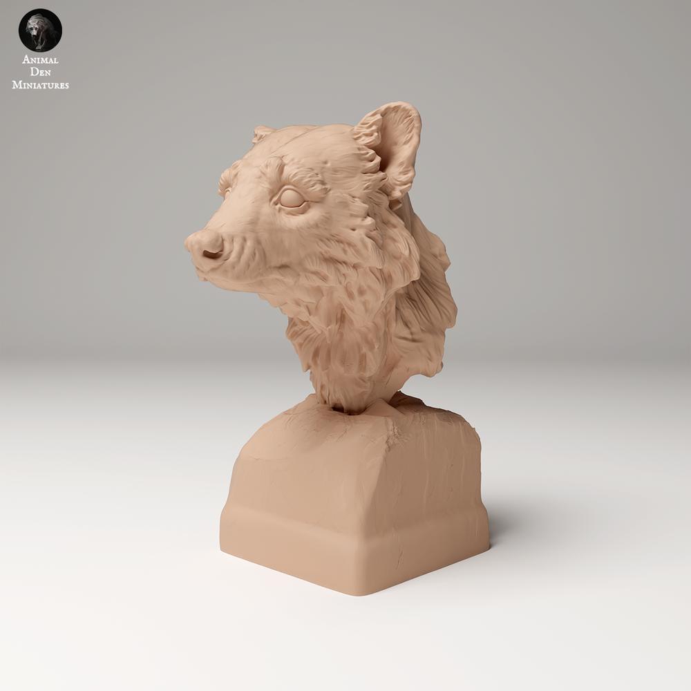 Product photo 2: Wild animal figure: Raccoon - Bust (24_09_10)