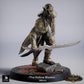 Product photo Tabletop 28mm Lord of the Print (LotP) 0: Tabletop miniature: Dark Elf Assassin and Duelist, Shadow Blade with two curved blades (26_03_G15)