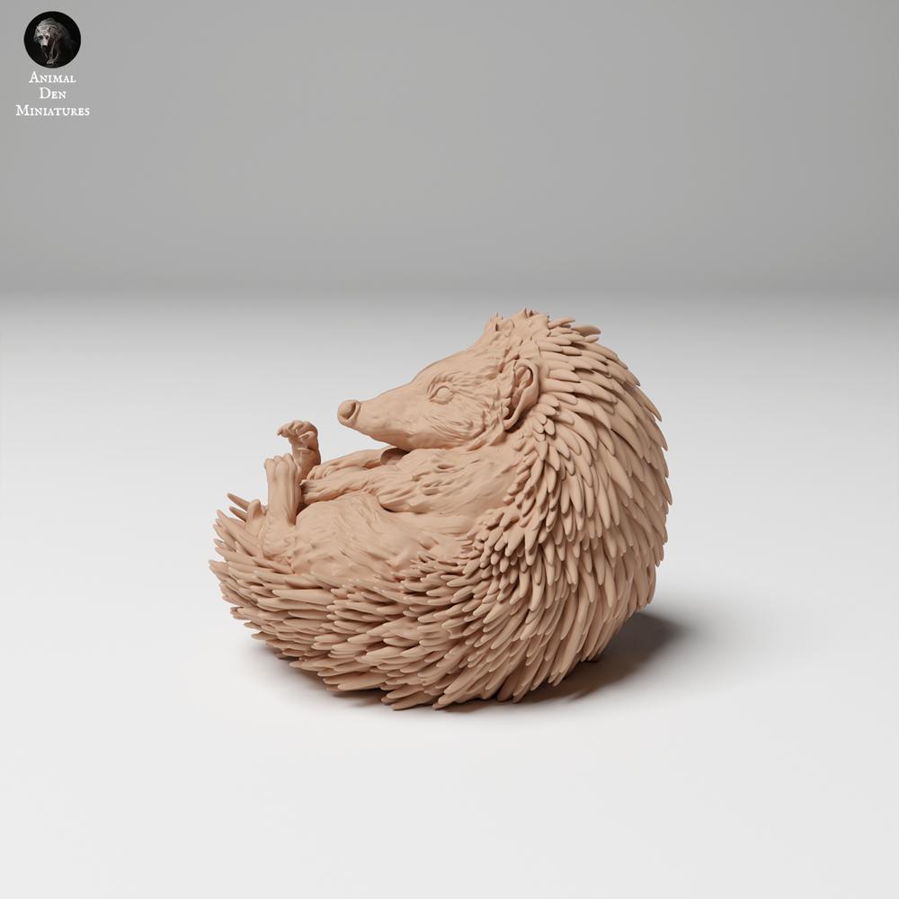 Product photo 0: Wildlife animal figure: European hedgehog - curled up (24_11_05)