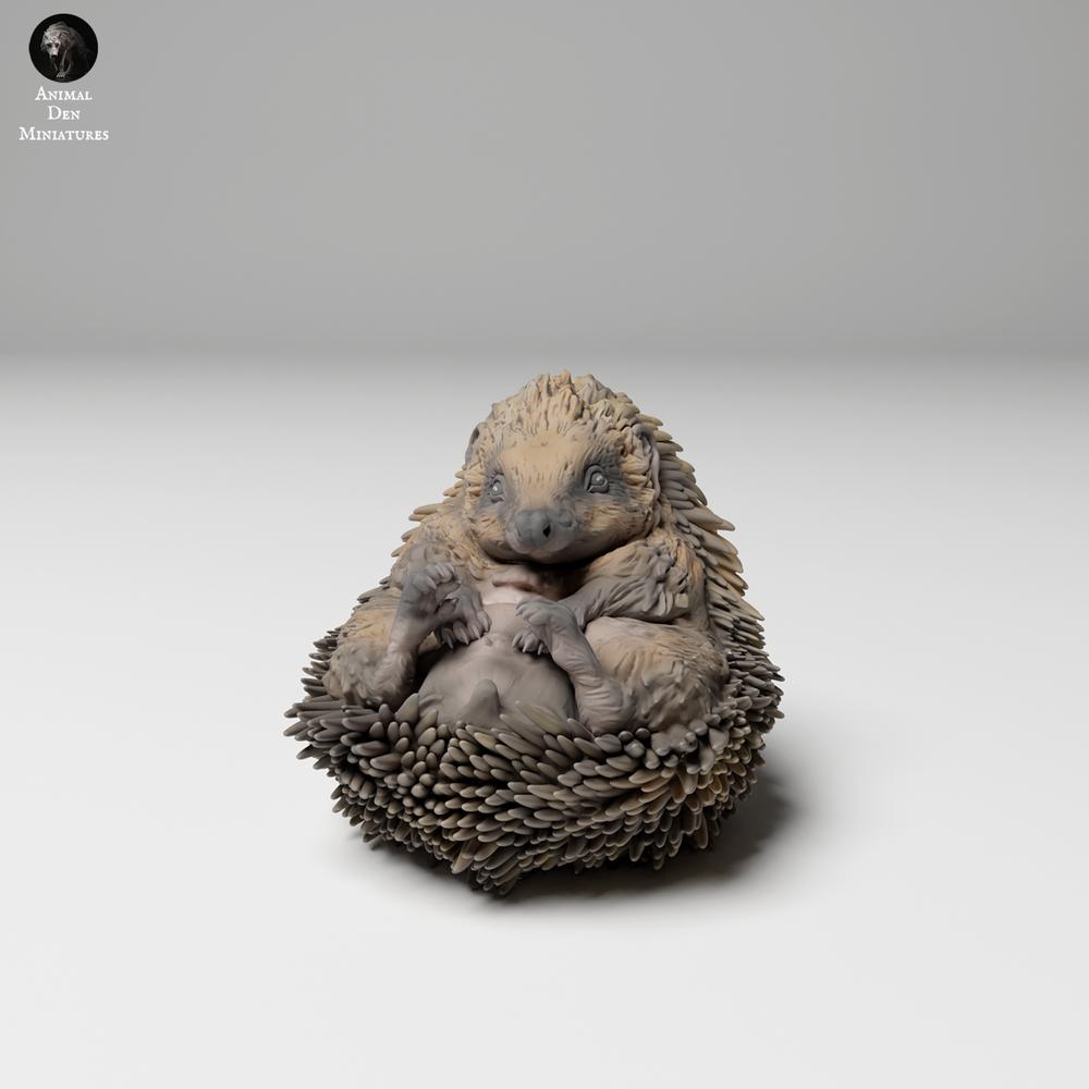 Product photo 1: Wildlife animal figure: European hedgehog - curled up (24_11_05)