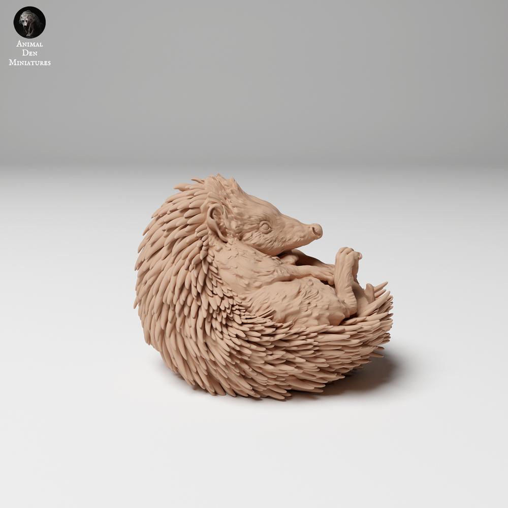 Product photo 2: Wildlife animal figure: European hedgehog - curled up (24_11_05)