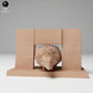 Product photo 1: Wildlife animal figure: European hedgehog - crossing a fence (24_11_06)
