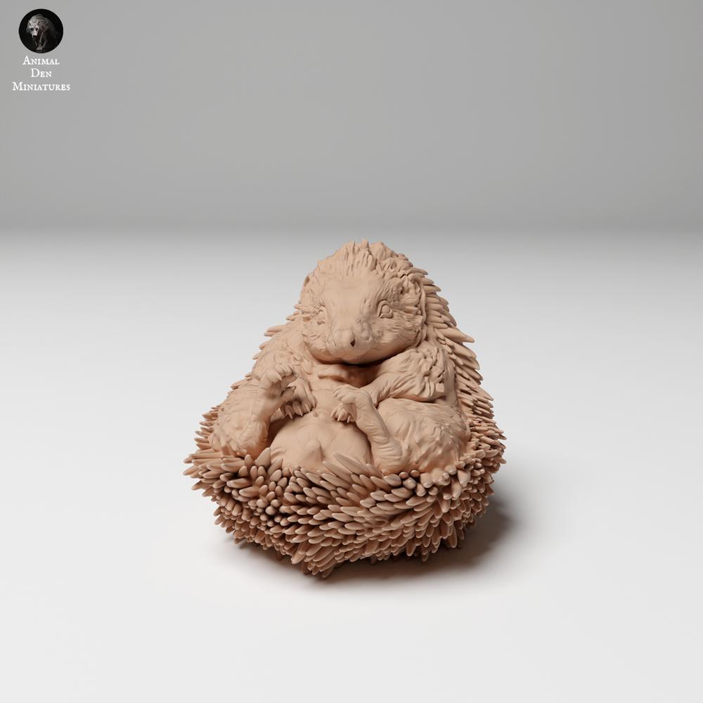 Product photo 3: Wildlife animal figure: European hedgehog - curled up (24_11_05)