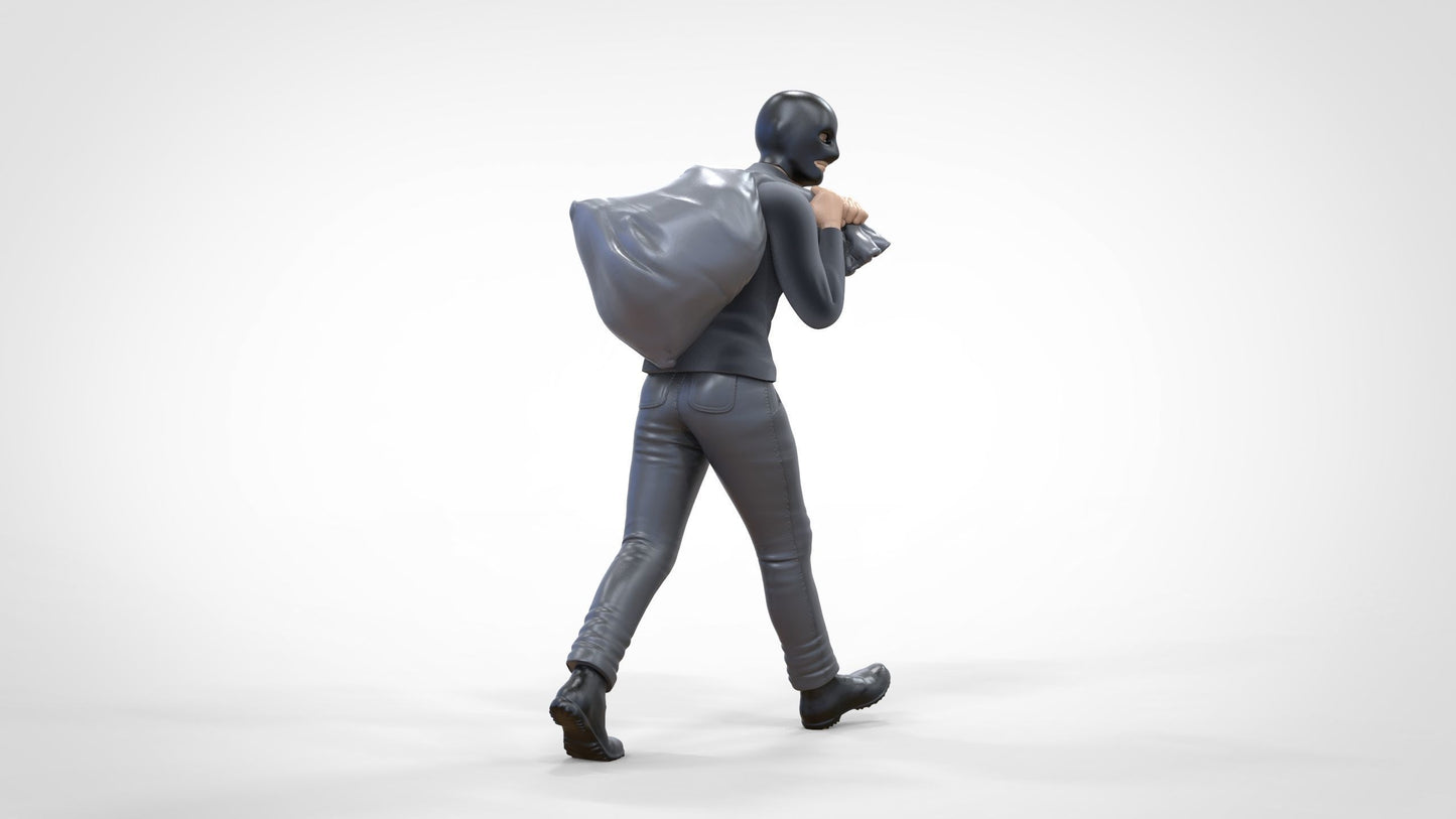 Product photo 0: Fleeting Thief after Burglary