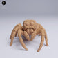 Product photo animal figure Animal Den Miniatures 2: Spider animal figure: Golden-eyed jumping spider (25_05_02)