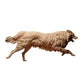 Product photo Animal Figure Diorama, Model Building: 0: Pet Figure: Running Dog - Border Collie