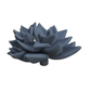 Product photo diorama and model building decor, accessories: 0: Plants and greenery: Succulents