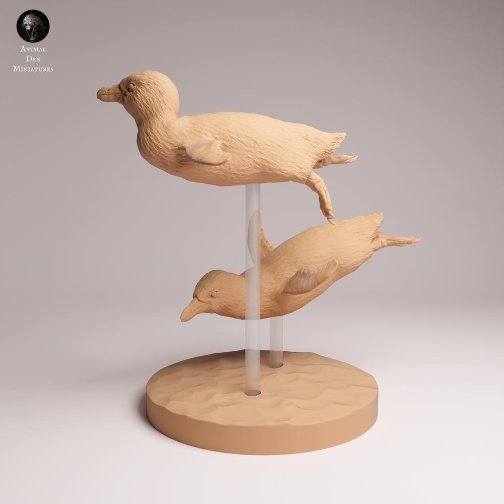 Produktfoto Tabletop 28mm Lord of the Print (LotP) 1: Vogel Tierfigur: Brillenpinguin - schwimmend (26_02_04)