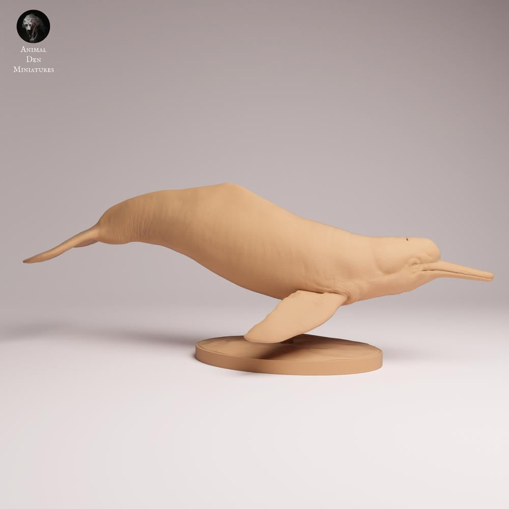 Product photo Tabletop 28mm Lord of the Print (LotP) 1: Water Animal Figure: Amazon River Dolphin - swimming