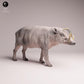 Product photo Tabletop 28mm Lord of the Print (LotP) 3: Wild Animal Figure: North Sulawesi Boar - Male (25_12_06)