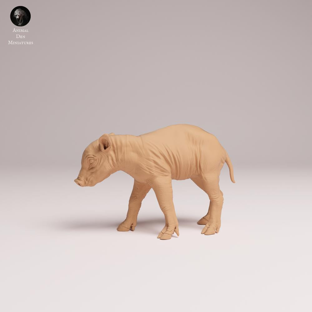 Product photo Tabletop 28mm Lord of the Print (LotP) 0: Wild Animal Figure: Sulawesi Wild Boar Piglet - standing (25_12_10)