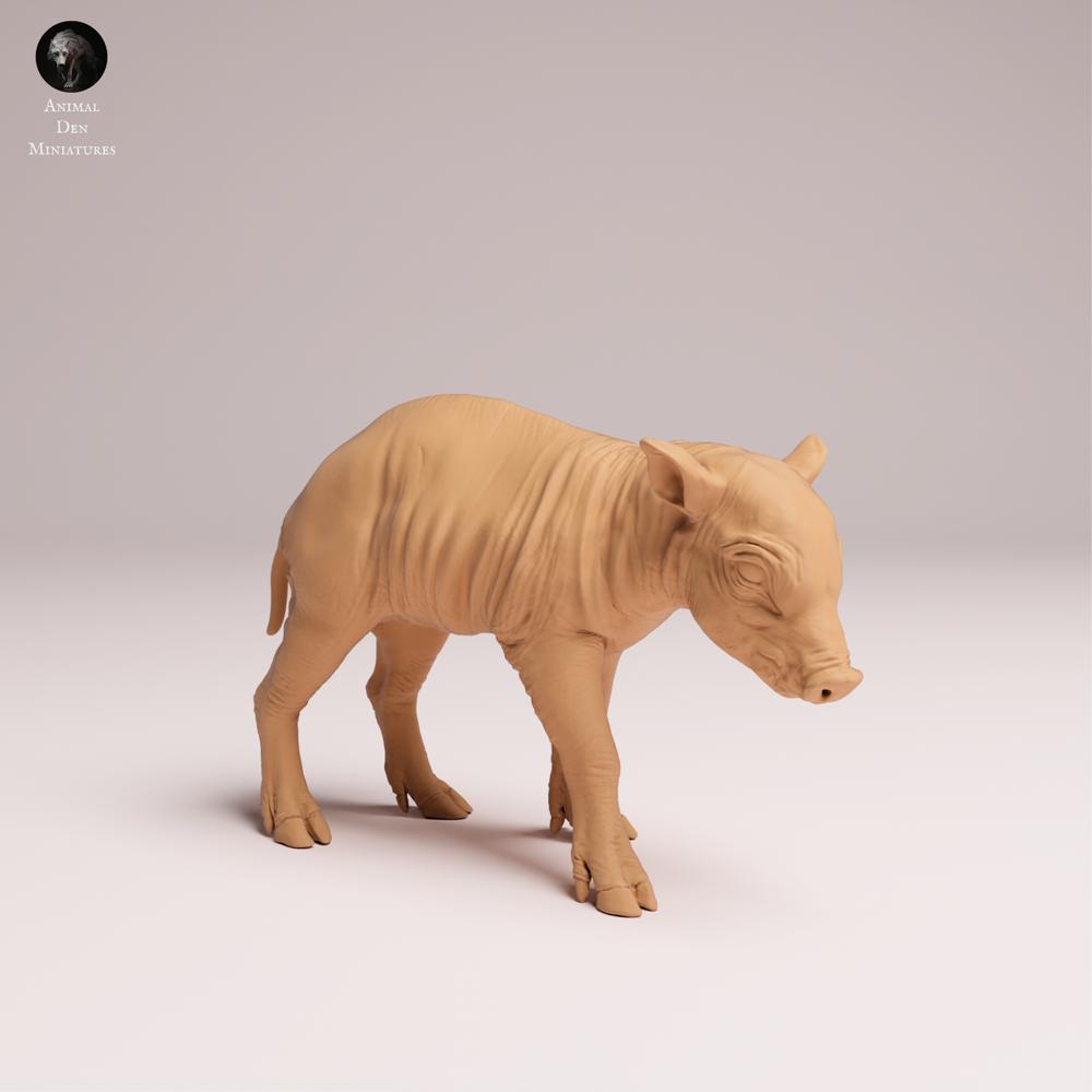 Product photo Tabletop 28mm Lord of the Print (LotP) 2: Wild Animal Figure: Sulawesi Babirusa Piglet - standing (25_12_10)