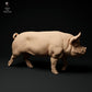 Produktfoto Tierfigur Animal Den Miniatures 1: Bauernhof Tierfigur: Berkshire-Eber - gehend (24_01_63)