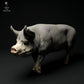 Produktfoto Tierfigur Animal Den Miniatures 2: Bauernhof Tierfigur: Berkshire-Eber - gehend (24_01_63)