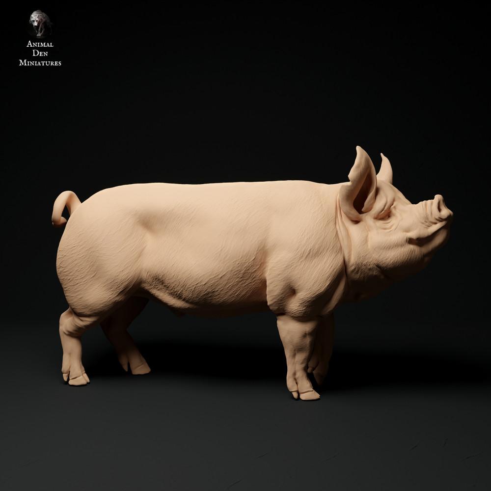 Product photo animal figure Animal Den Miniatures 0: Farm animal figure: Berkshire boar (24_01_64)