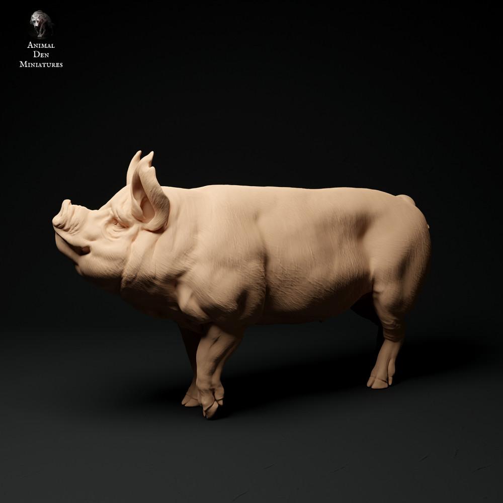 Product photo animal figure Animal Den Miniatures 1: Farm animal figure: Berkshire boar (24_01_64)
