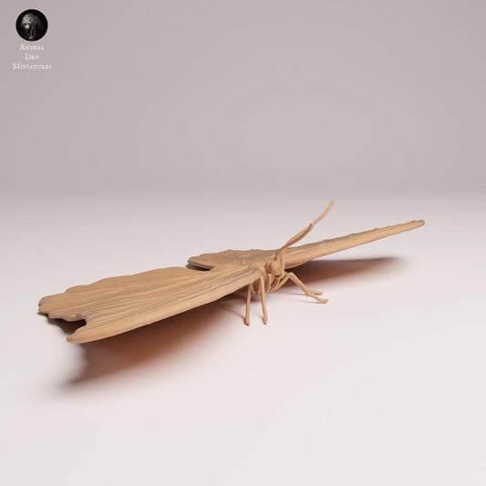 Product photo Tabletop 28mm Lord of the Print (LotP) 0: Insect Animal Figure: Blue Morphofalter - Wings Spread