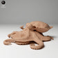Product photo animal figure Animal Den Miniatures 0: Marine animal figure: Large Blue-Ringed Octopus (24_05_06)