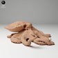 Product photo animal figure Animal Den Miniatures 1: Marine animal figure: Large Blue-Ringed Octopus (24_05_06)