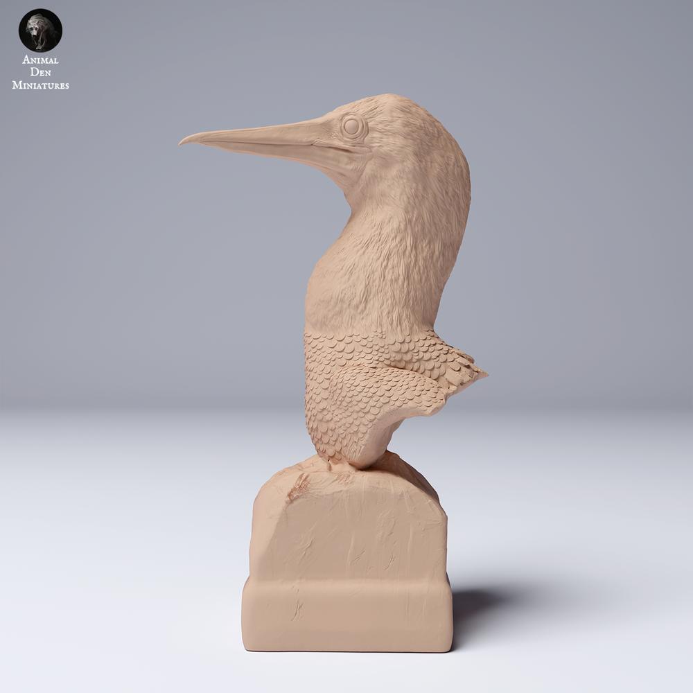 Product photo 0: Seabird animal figure: Blue-footed Booby - Bust (24_08_02)