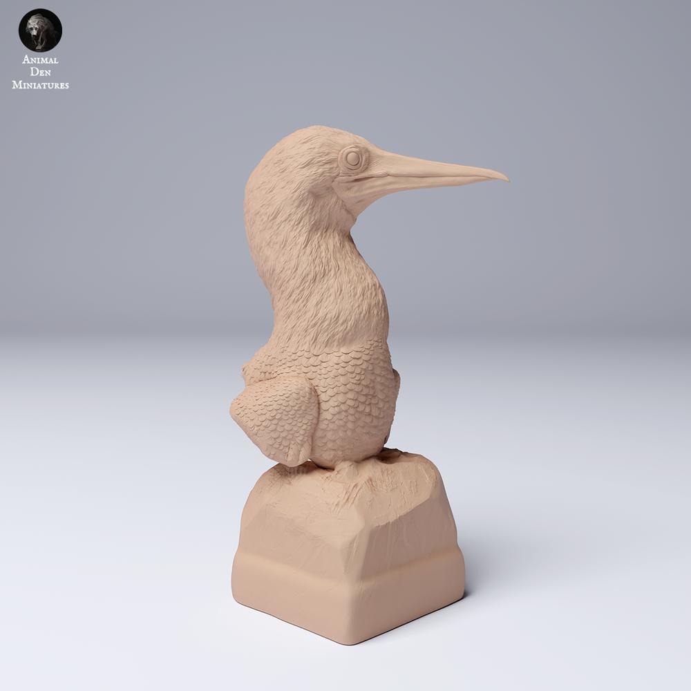 Product photo 2: Seabird animal figure: Blue-footed Booby - Bust (24_08_02)