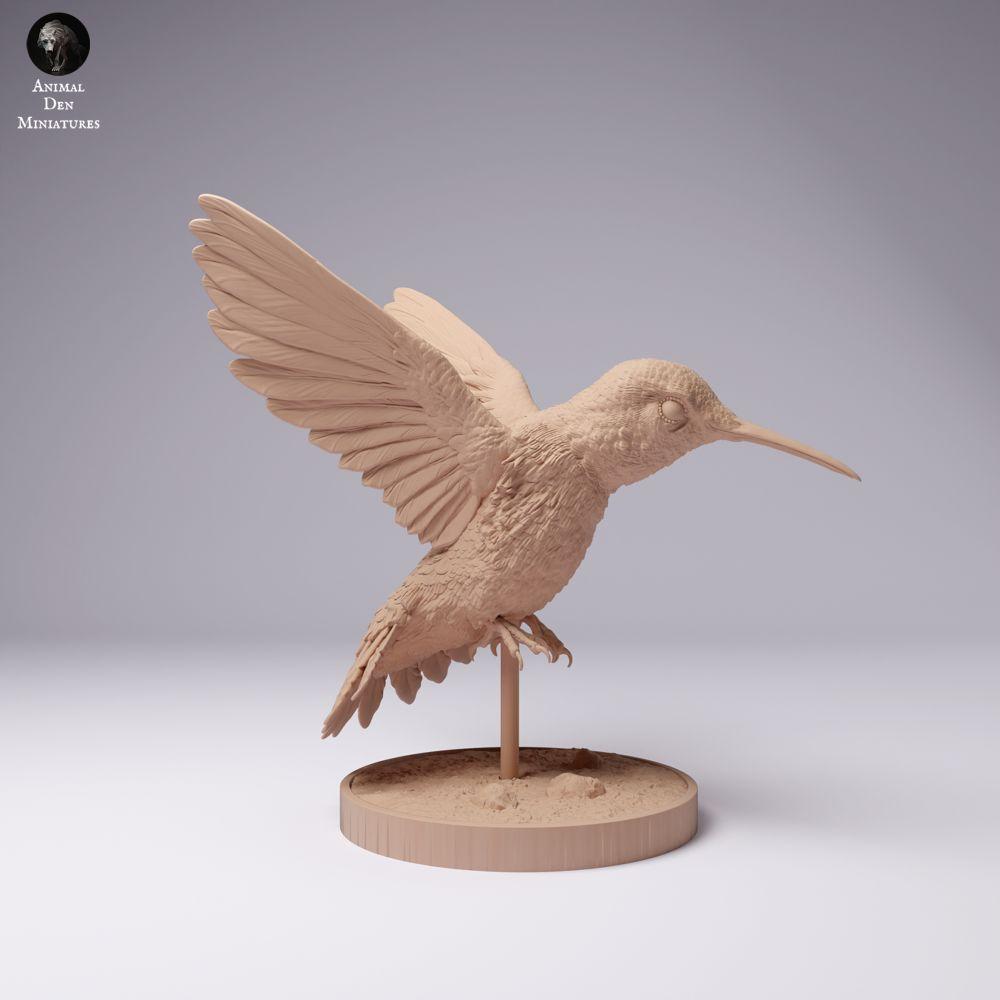 Product photo 2: Bird animal figure: Broad-tailed Hummingbird (25_01_08)