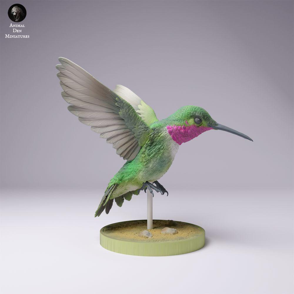 Product image 3: Bird animal figure: Broad-tailed Hummingbird (25_01_08)