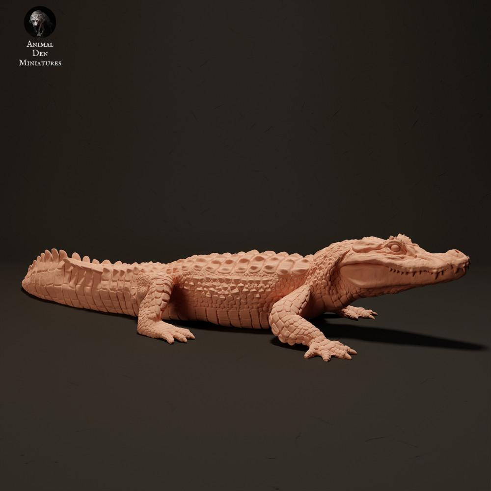 Product photo animal figure Animal Den Miniatures 0: Reptile animal figure: Black caiman - basking in the sun (23_06_07)