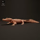 Product photo animal figure Animal Den Miniatures 1: Reptile animal figure: Black caiman - basking in the sun (23_06_07)