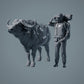 African Buffalo - Animals of the Savannah (23_02_07)
