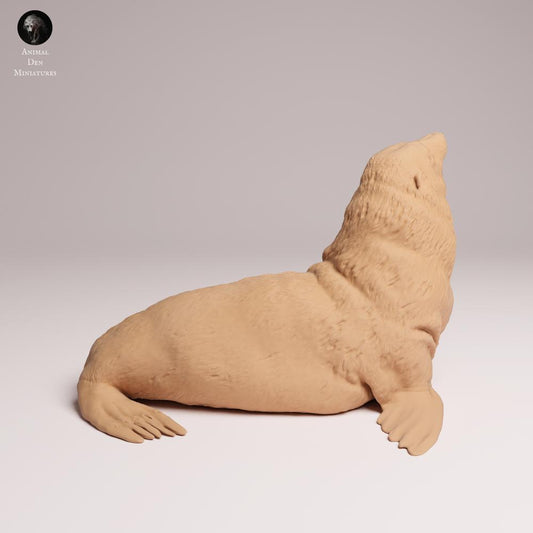 Produktfoto Tabletop 28mm Lord of the Print (LotP) 0: Meeressaeuger Tierfigur: Suedafrikanischer Seebaer - Maennchen (26_02_07)