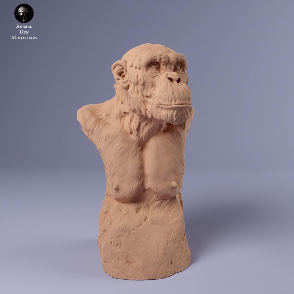 Product photo animal figure Animal Den Miniatures 1: Jungle animal figure: Common Chimpanzee - Bust (24_02_17)