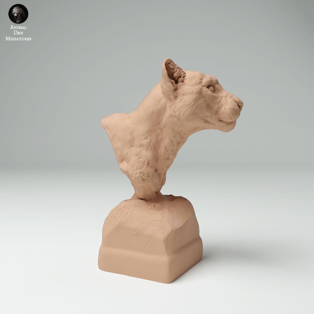 Product photo 0: Wild animal figure: Clouded Leopard - Bust (25_02_05)