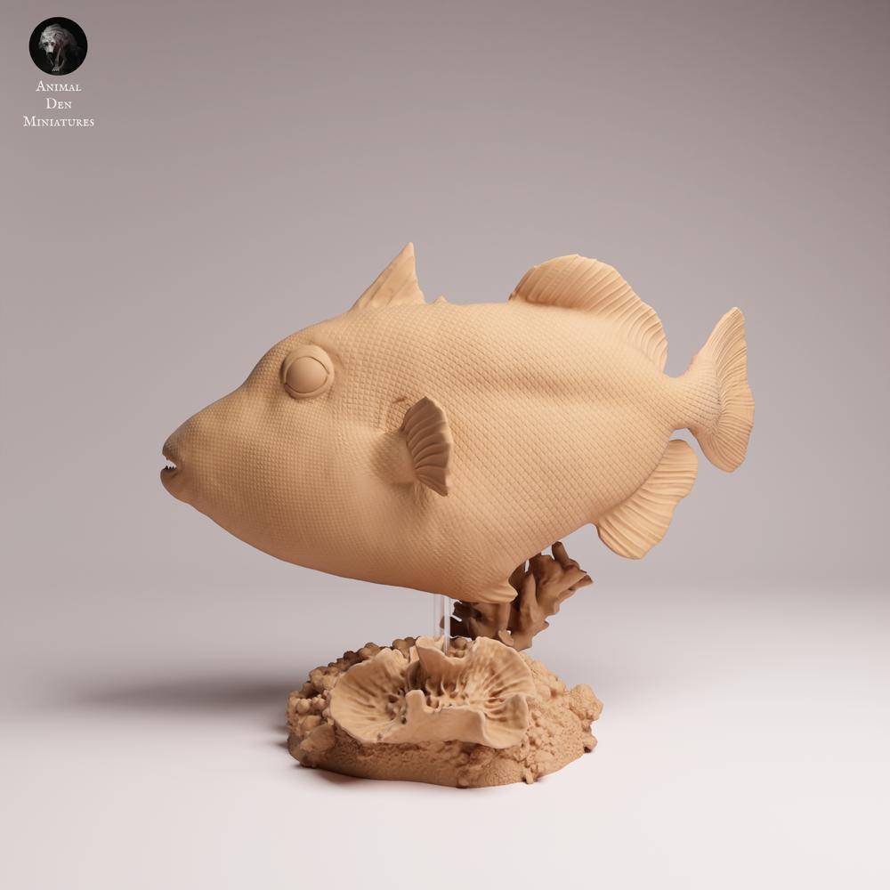 Product photo 0: Sea creature animal figure: Clown Triggerfish (25_10_07)