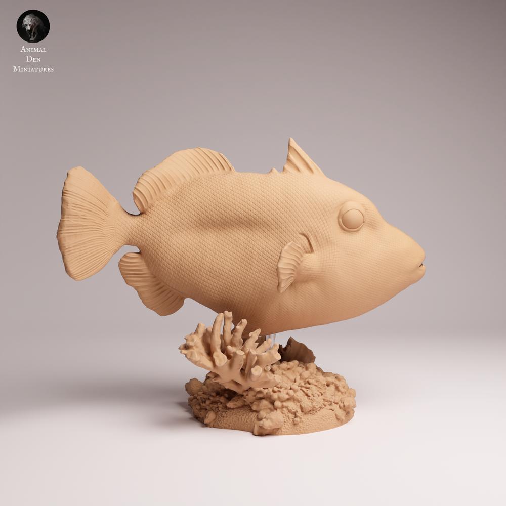 Product image 1: Marine animal figure: Clown Triggerfish (25_10_07)