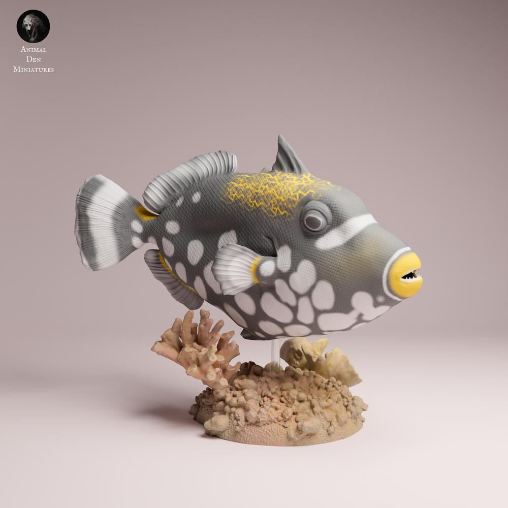 Product image 3: Marine animal figure: Clown Triggerfish (25_10_07)