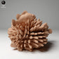 Product photo animal figure Animal Den Miniatures 1: Marine animal figure: False Clownfish (24_05_07)
