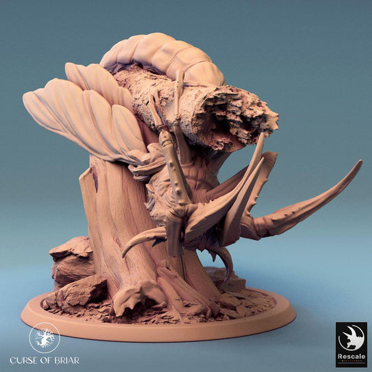 Product photo Tabletop 28mm Lord of the Print (LotP) 0: Fantasy Figure: Giant Beetle Monster, Scarab Boss, Insectoid Forest Beast (24_07_E2)