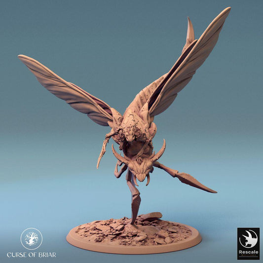 Product photo Tabletop 28mm Lord of the Print (LotP) 0: Tabletop miniature: Skycutter Fly - insectoid demon, Mantis assassin, flying swarm hunter (24_07_E3)