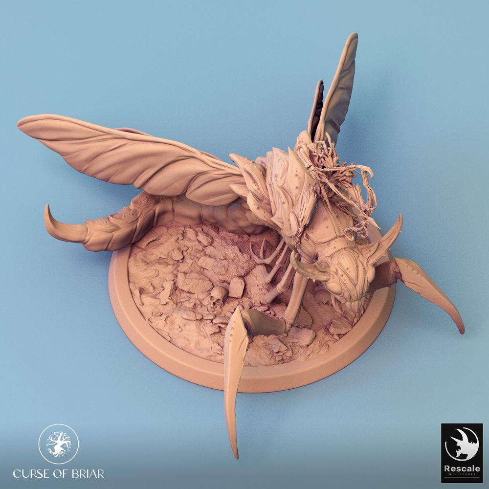 Produktfoto Tabletop 28mm Lord of the Print (LotP) 0: Tabletop Miniatur: Insektenreiter auf Riesiger Mantide, Bogenschütze, Monströse Kavallerie, Schwarmbestie (24_07_E5)