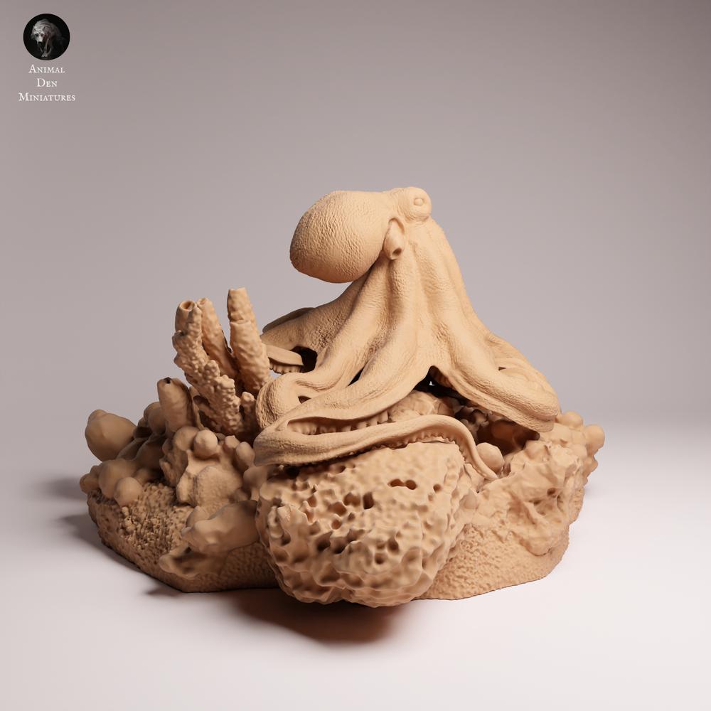 Product photo 0: Sea Animal Figure: Day Octopus (25_10_05)