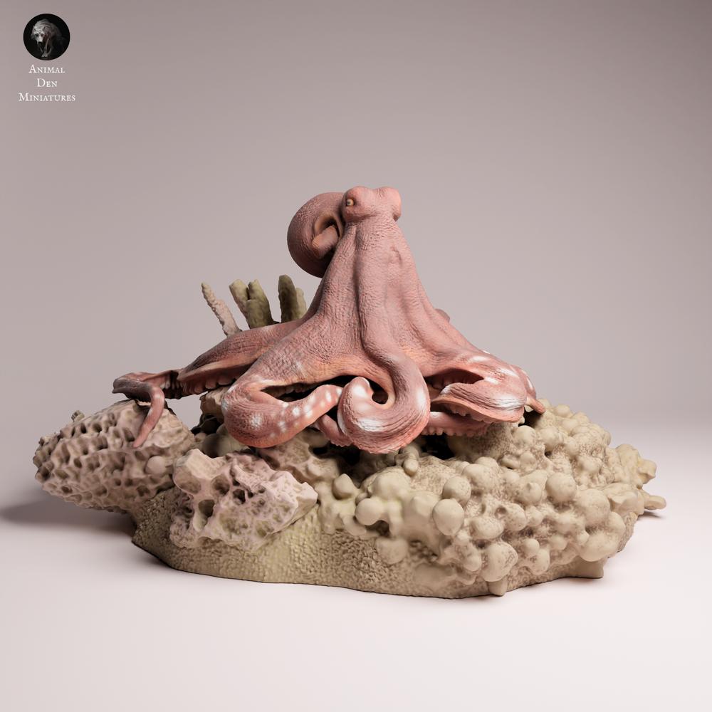 Product photo 3: Marine animal figure: Day Octopus (25_10_05)